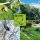 ZIPPER ZI-GPS252 Gartenpflegeset Motorsense Trimmer Heckenschere Astsäge
